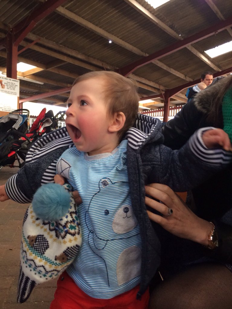 sazmair's tweet image. Pure. Delight. 

(He saw a sheep)