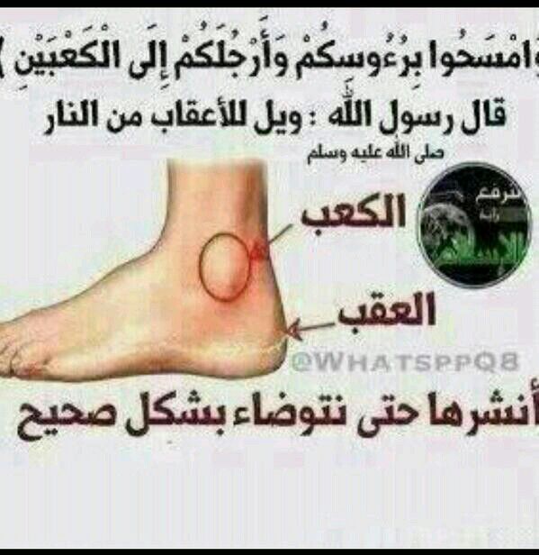 عمر سليمان سعيد tweet media
