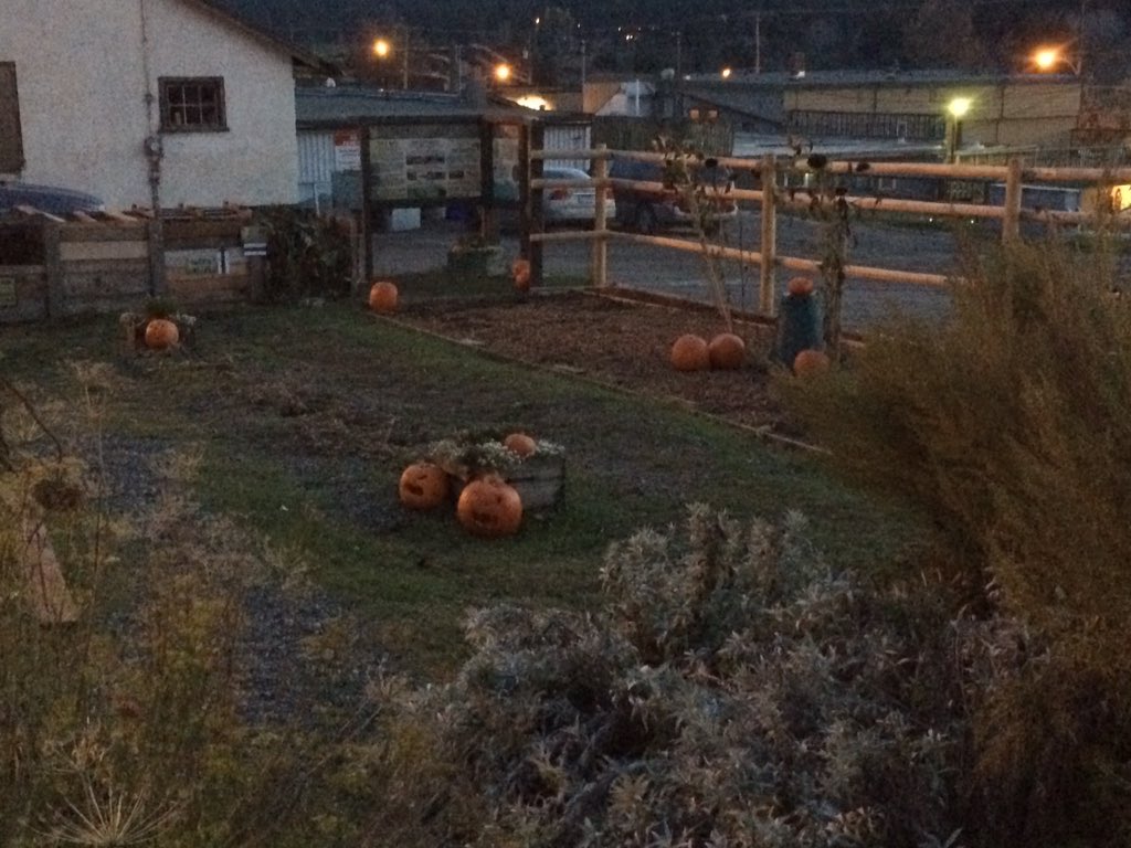 MarieSharpeElem's tweet photo. The Haunted Potato House. Final resting place of some of our pumpkins donated by Marie Sharpe students #connect27 https://t.co/Cffj26j3ns