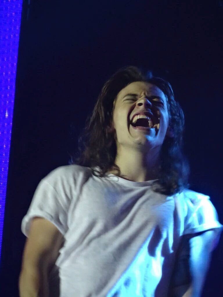 thekinghes's tweet photo. If you made Harry laugh like this, you won at life #ThanksForAllAndSeeYouSoon1D #ThankYouForEverythingOneDirection https://t.co/ZWOlamYNyO