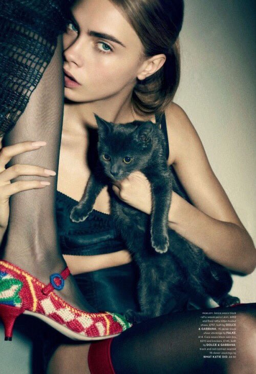 all i need in 1 picture