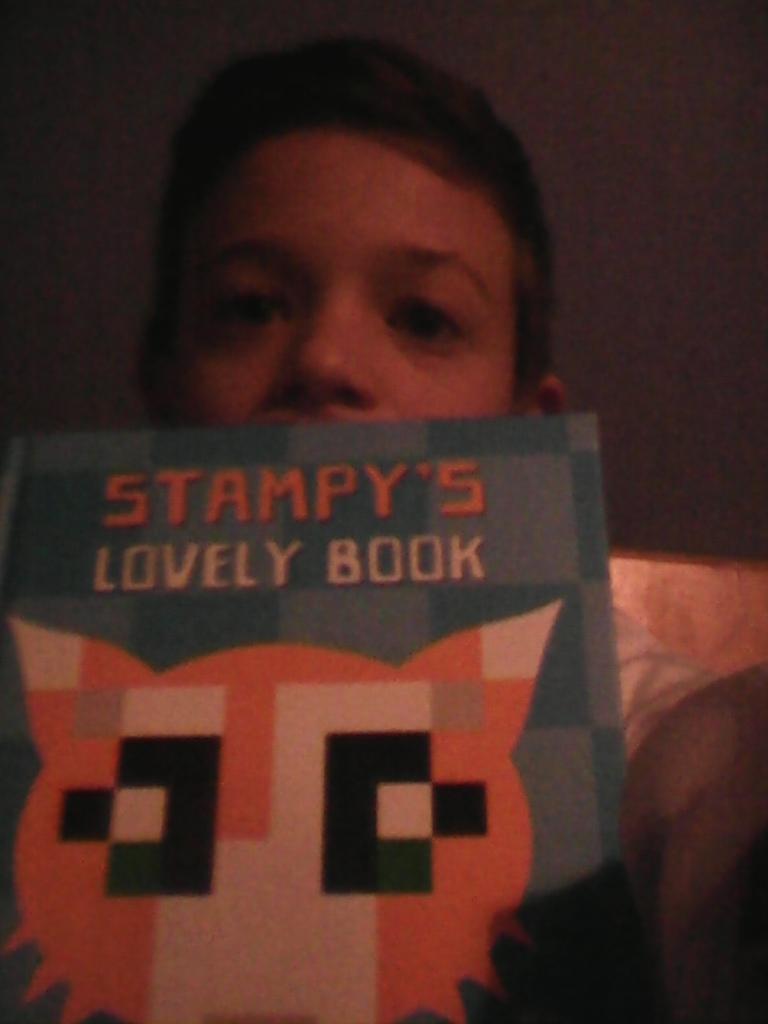 minecraftdan213's tweet image. 