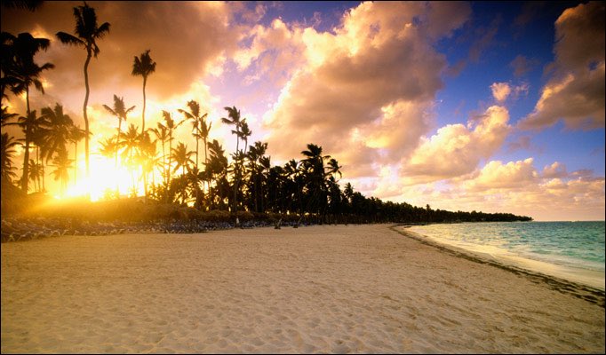 sundayfundayz's tweet photo. I WANT PARADISE! 
#highonlife #comeseeklive https://t.co/01DvUxN3GM