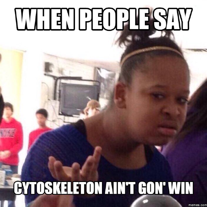 CytoUrSkeleton's tweet photo. https://t.co/PXZXESgwkU
