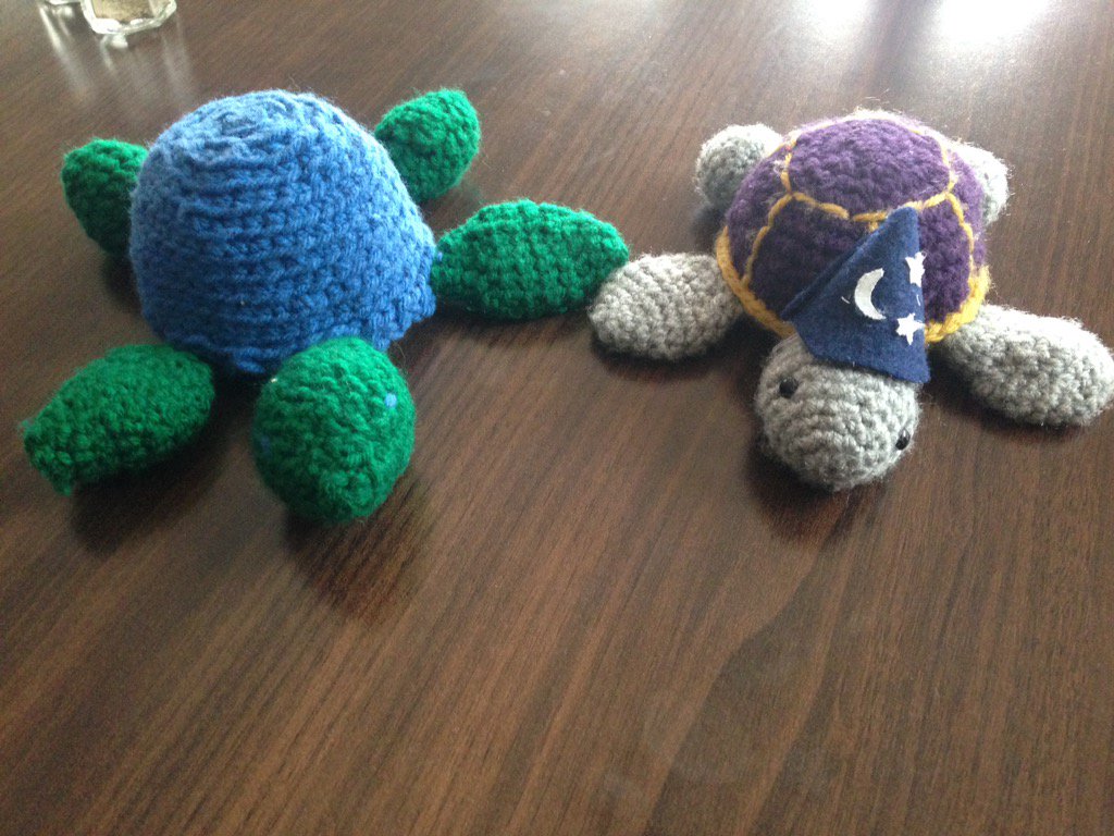 ScrappyCturtle's tweet image. Meet my little sister, Celestia. Thank you @neptunedance #RegionCTurtle #UNTSWE