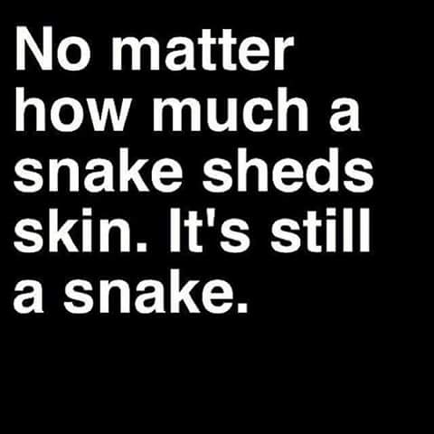 SmokeOffTrack's tweet photo. Set up all the fake accounts you want. You still are a horrible person with no morals. #SnakeTruth https://t.co/HLyiBJIoVh