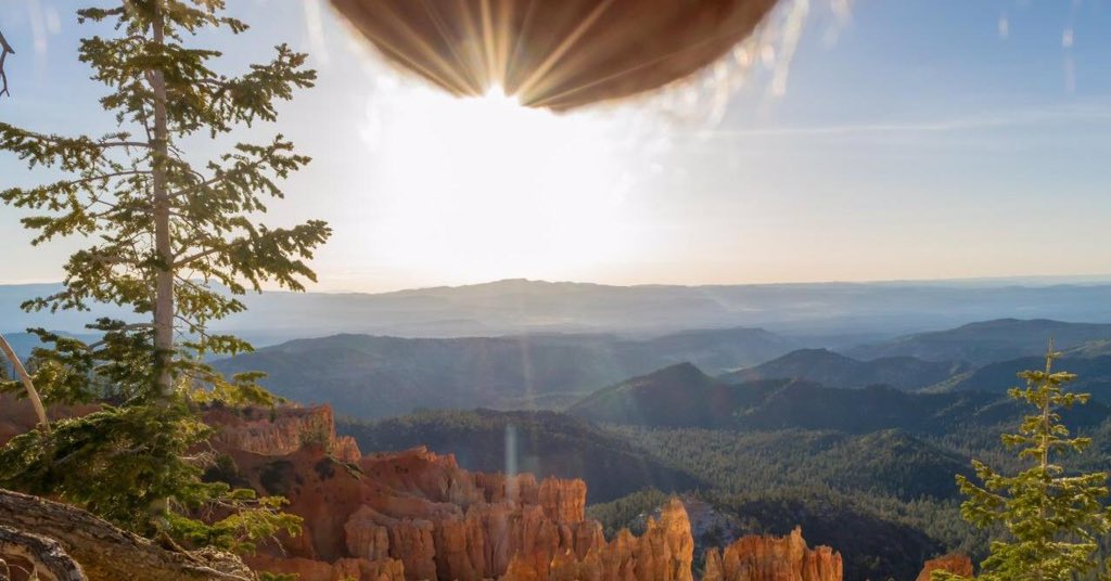 Nieuwe trend. Stukje 'eigen' natuur toevoegen aan een natuurfoto. Dat meen je toch niet? nutscaping.com