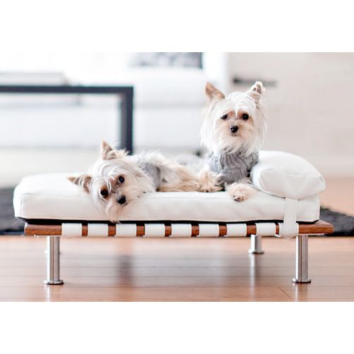 organiclena's tweet photo. Elegant, #modern day bed for the stylish #dog from @GlamourMutt. 
https://t.co/PHf64eA2lA https://t.co/7eXuFGJZ8x