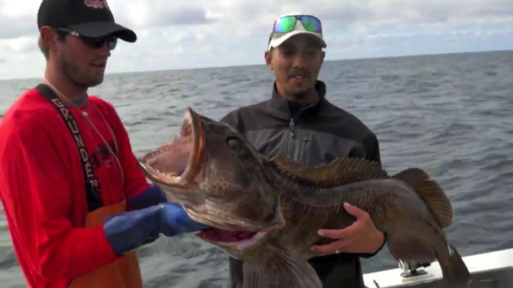 CulliverVincent's tweet photo. #fishing #fish #fishflow #icefishing #anglergear #anglerapproved ##Jurassicsportfishing #savagegear #raymarine https://t.co/ltRuyoJi55