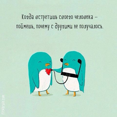 Чудеса Антарктики tweet media