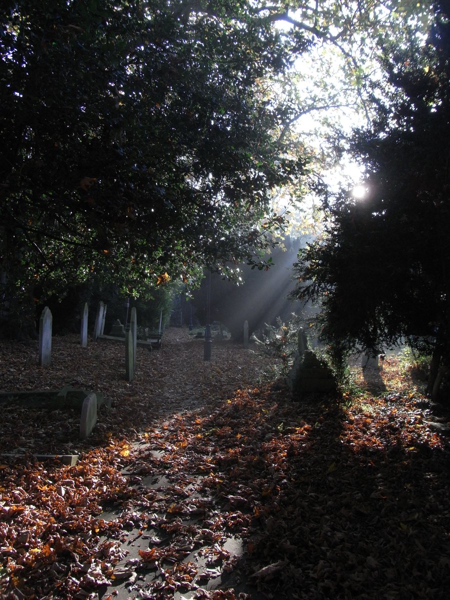radicalhoneybee's tweet photo. Days of velvet darkness & blinding light
#Samhain #ChiselhurstCaves #Beckenham https://t.co/EbxN1xH0bR