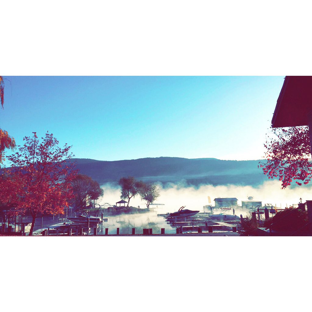 turtlebaypub's tweet photo. A beautiful, misty morning at turtle bay https://t.co/v4HcRFZO5E