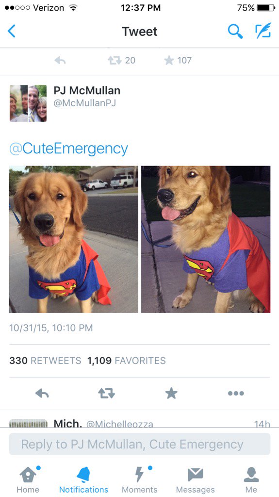 kenzlynne14's tweet photo. When your dog is Twitter famous😱 #MagicMav https://t.co/L0zfLtBopY