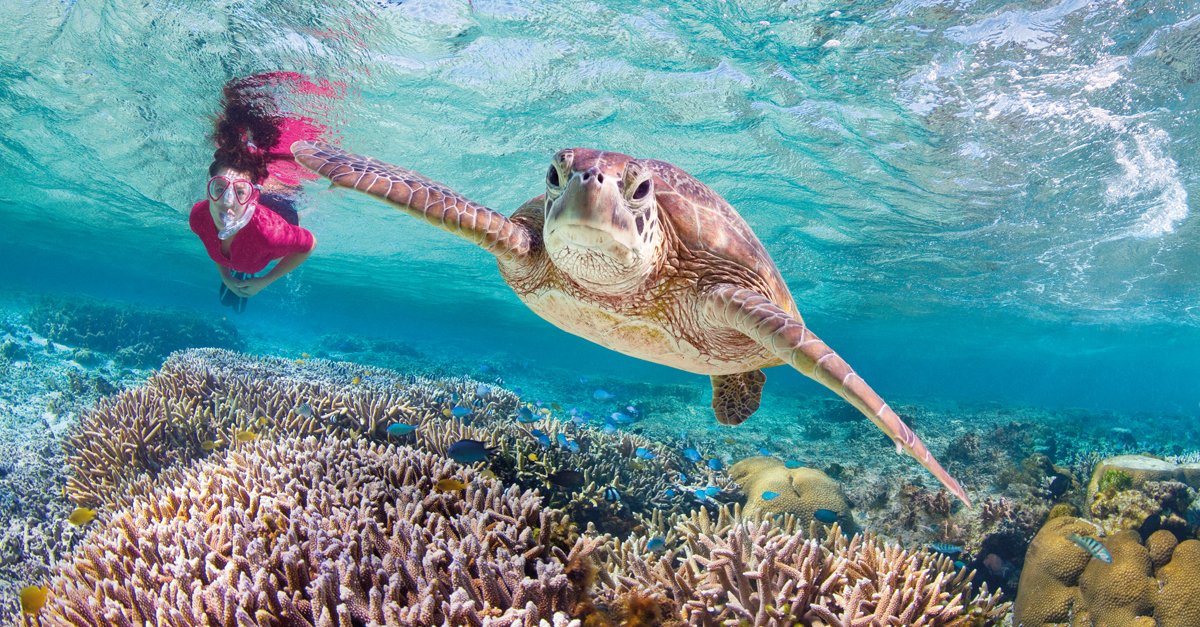 Queensland Australia tweet media