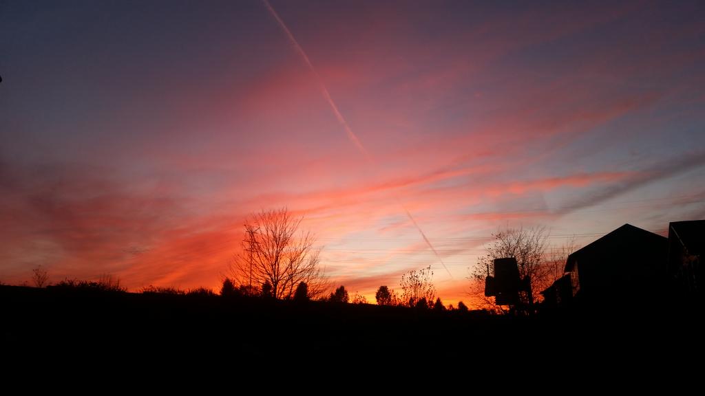 toddc28's tweet photo. Orange sky for the Bengals win @dopplertim @ScottDimmich  #bengals #sky #ohio #sunset #butlercounty https://t.co/ahmo85GkWb