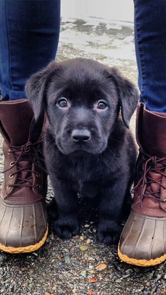 SLSCountryMusic's tweet photo. I need 😍 https://t.co/WcJcJfmHO4