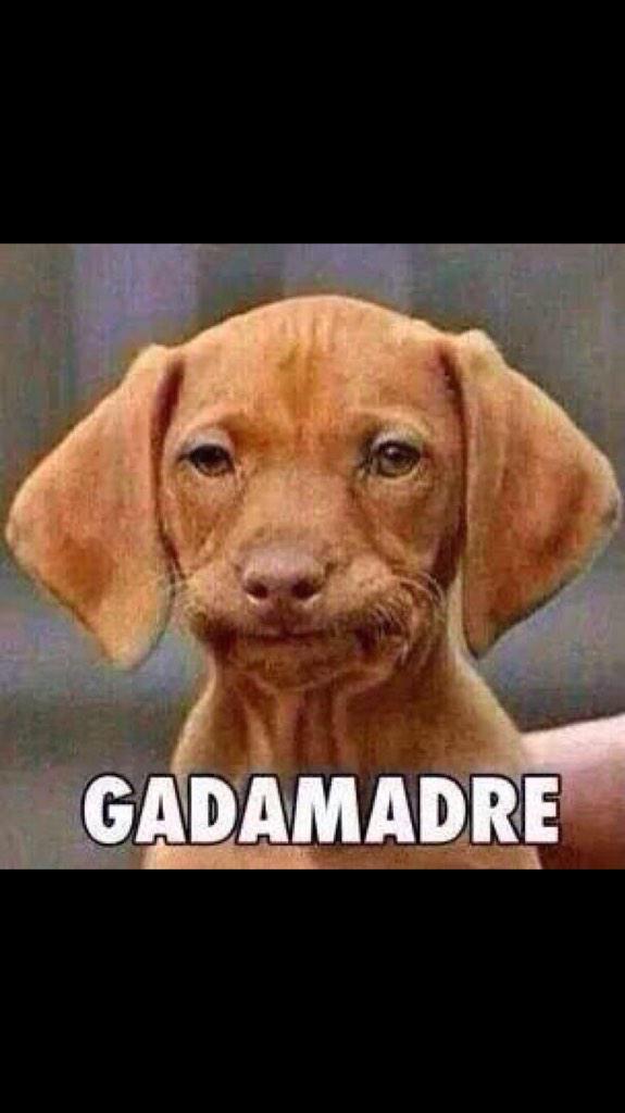 hermilo1966's tweet photo. @carlos_armenta_ aquivaldo que @#$%&amp; @chaco_tuzo @Tuzos @SomosTuzos @InfoTuzo @BarraUltratuza @pasiontuza https://t.co/ewjckQbNjQ