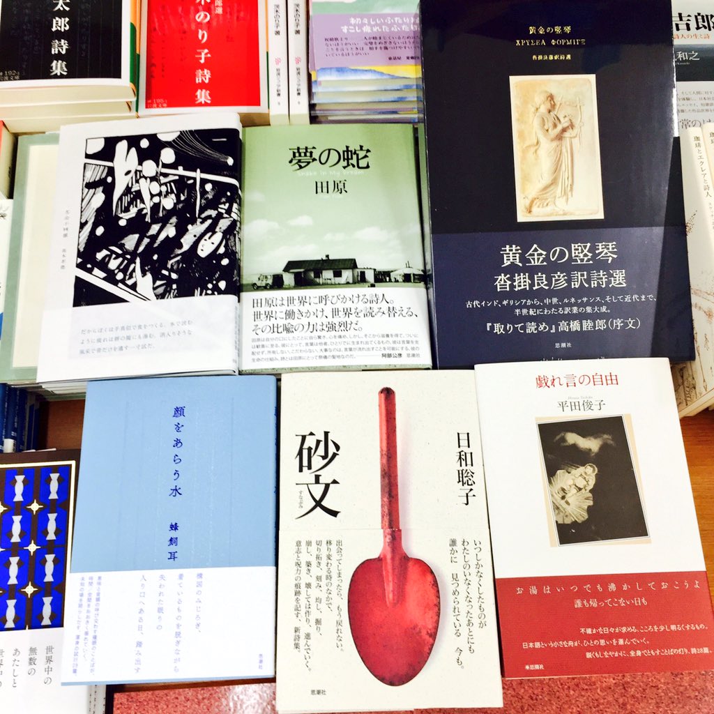 くすみ水色 黄金の竪琴 沓掛良彦訳詩選 | dizmekaro.com