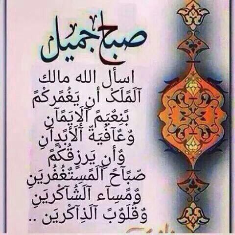 @HAYA_ALLi