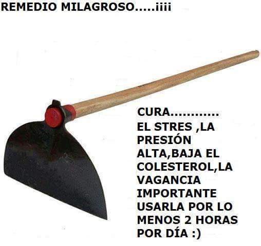 apoioass tweet picture