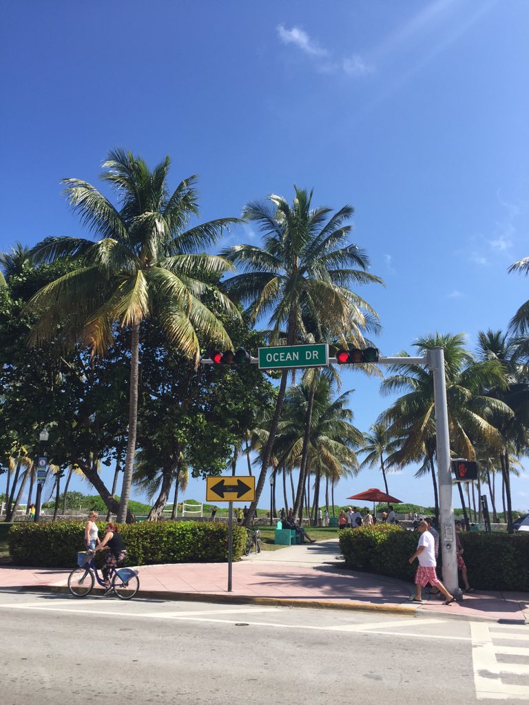 Nicole_Cato's tweet photo. Loving Miami ✌️🇺🇸 #dancer #sun #life #happy https://t.co/xEI6gGQxE0