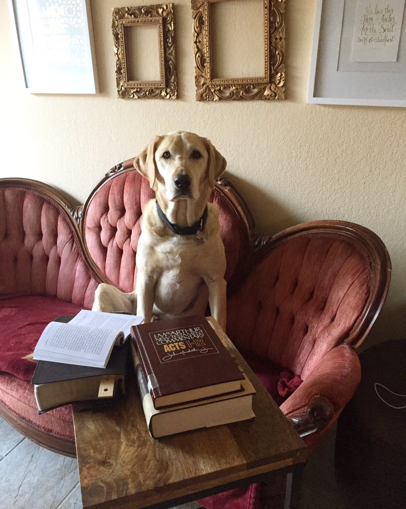 dhonea's tweet photo. Magnus studying... Not really, but he totally looks like it! Hahaha #Godsword https://t.co/xz5vDvS18f