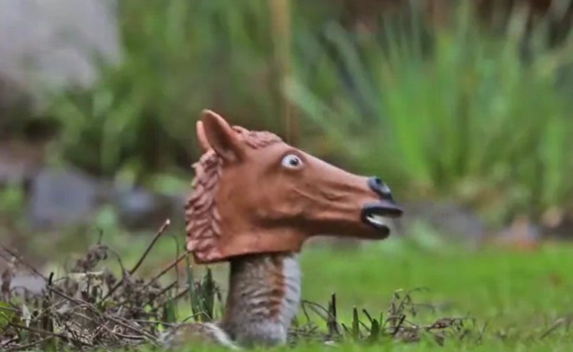 Archie Mcphee On Twitter Reddit Has Discovered Our Horse Head