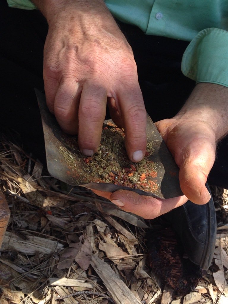 ebbehayes's tweet photo. Making Australian hafting adhesives with Xanthorrhoea resin. Second step: add roo poo for extra fibre! https://t.co/9xegw68nEo