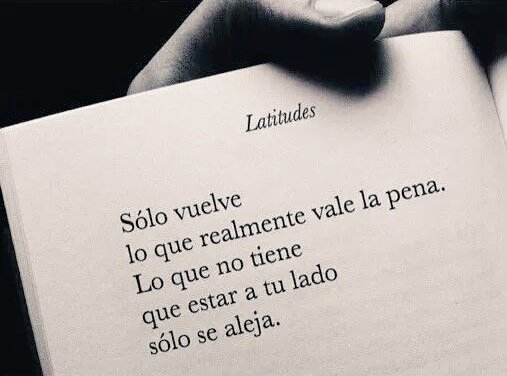 jose luis; tweet media