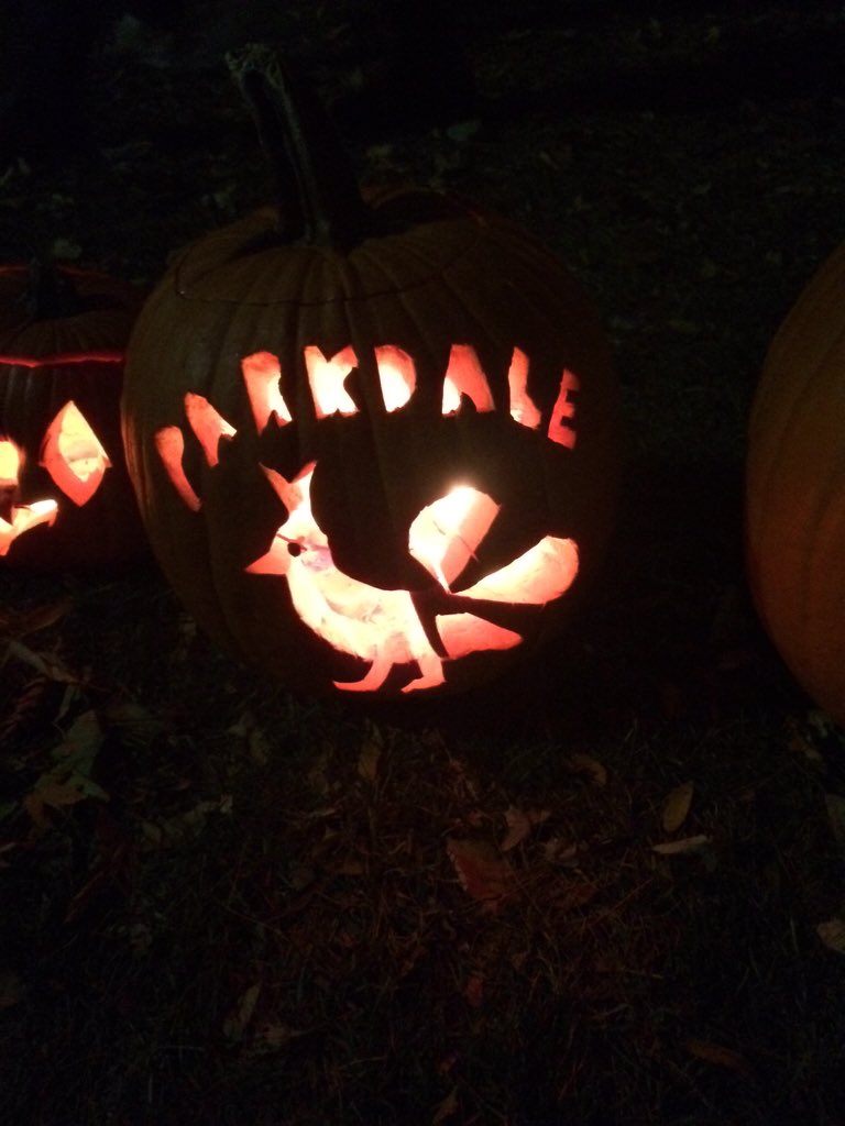 Homage to <a href="/TorontoPeacock/">Pea Cock</a> here at the Sorauren <a href="/PumpkinParade/">Pumpkin Parade</a>!