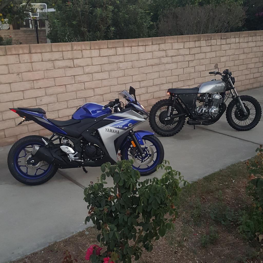 the_ryan_kelley's tweet photo. My girls all safe at the new house 🏡😎 https://t.co/8cuxDW7CGo