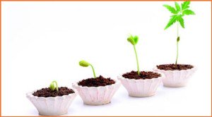 SalesQpr's tweet photo. Advice For Everyday Life https://t.co/H4RdSJY6zu https://t.co/klIl0fRWiN