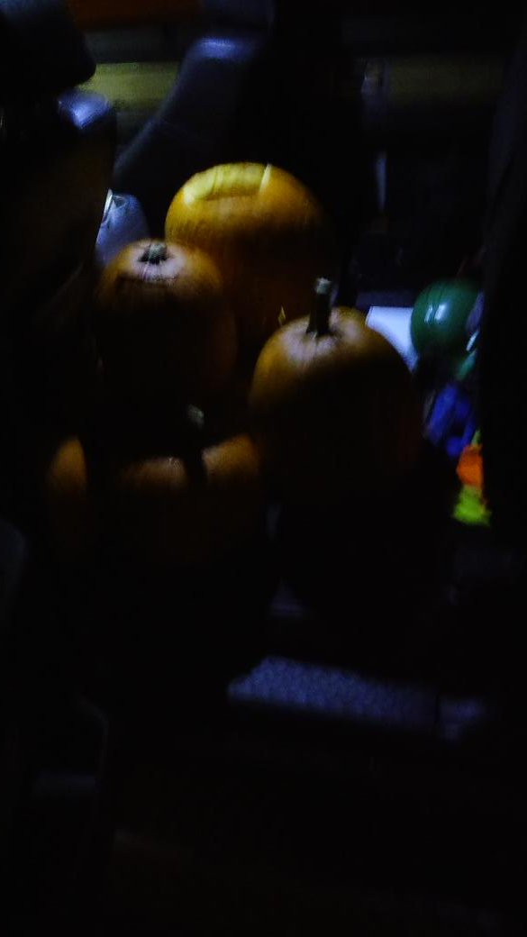 srns_'s tweet photo. Jack O Lanterns making their final stop @EverdaleFarm @TownofErin @erinradio881 https://t.co/10EQc6tNGe