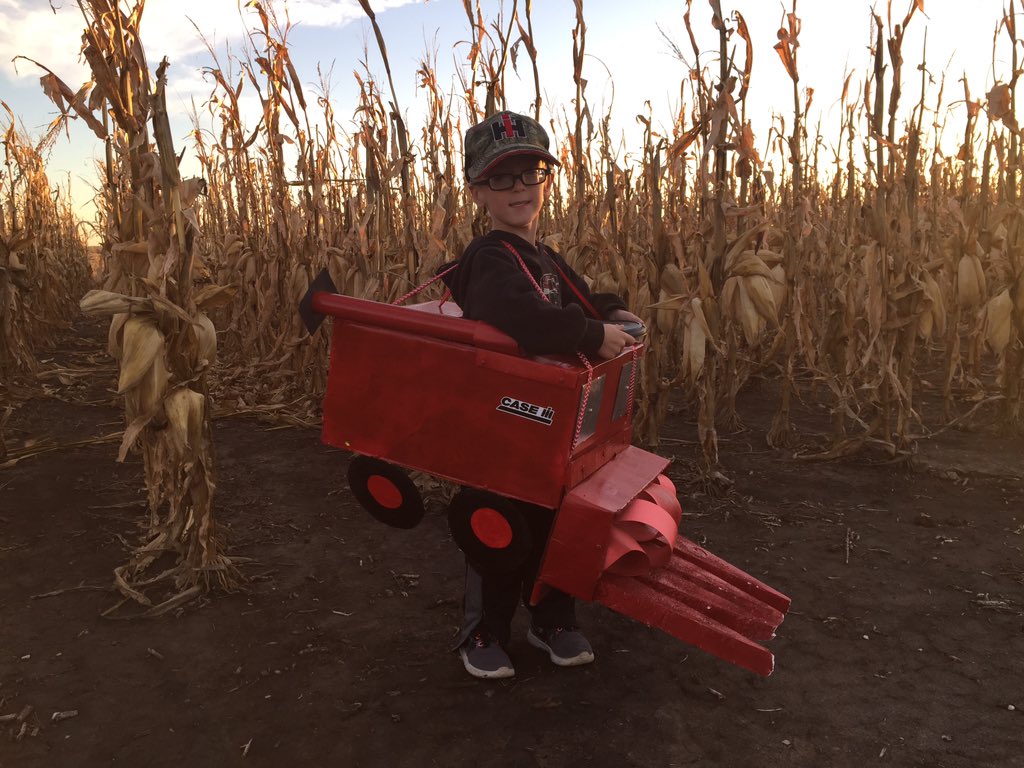 PellaTracy's tweet photo. @Case_IH Our little farmer never stops supporting the Red! And he found some sweet corn! @JessePella https://t.co/Iu8etsVMA6