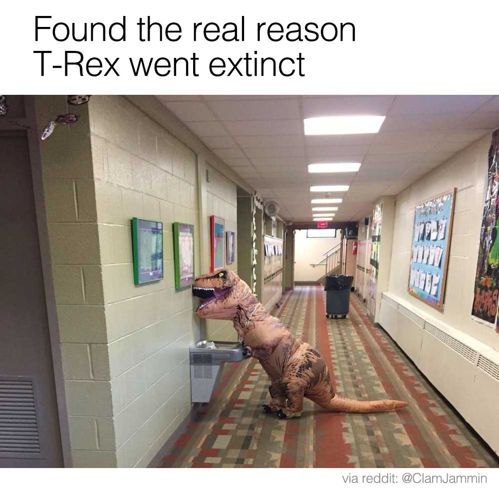 Я рекс го. Я рекс Мем. Я рекс го рекс. Real reason meme