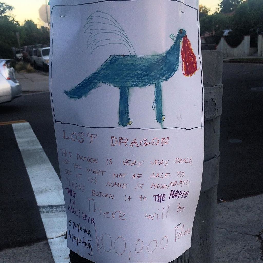 lemwerks's tweet photo. Hey guys, FYI of you see a lost dragon please return. Big reward! #lostdragon #thepurpletwig #NELA https://t.co/m34RYyqGf3