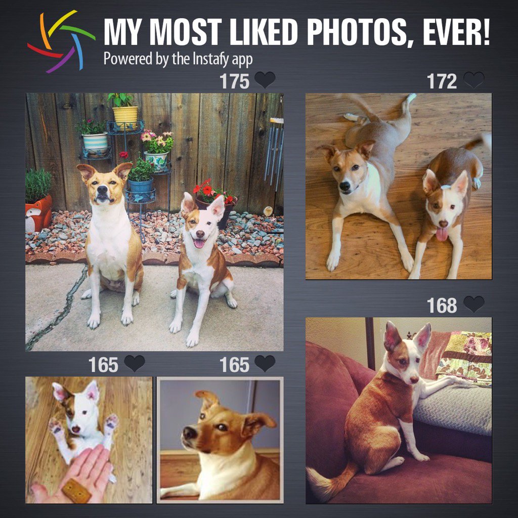rubicondays's tweet photo. My Instagram stats using #Instafy app https://t.co/24S5LaaIMq https://t.co/p4YdWr4lvT