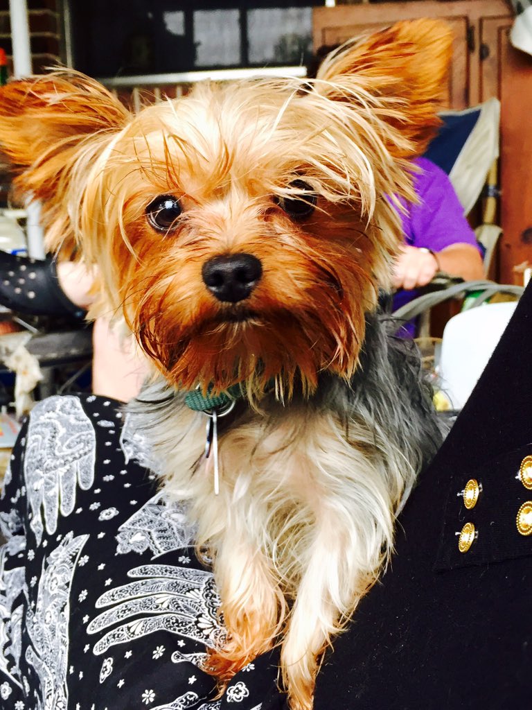GGTimmons10's tweet photo. Rainy wke spent w/ my a daughter &amp; grand pup in #NOLA #bingewatching  #GameOfThrones season one almost finished https://t.co/XMFm0JuJxD
