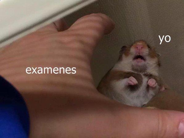 medaladilla's tweet photo. Literalmente yo en estos momentos. https://t.co/Ja4DTGL4kW