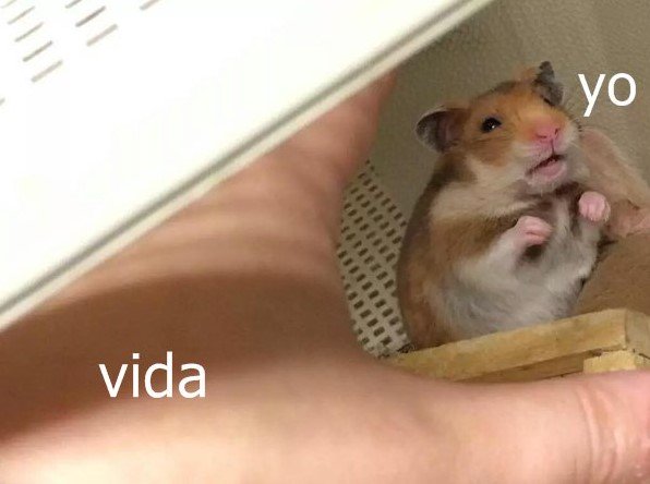 medaladilla's tweet photo. Literalmente yo en estos momentos. https://t.co/Ja4DTGL4kW