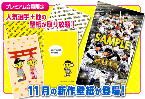 toracamera's tweet photo. 【トラカメラのプレミアム会員限定！】人気選手20名＋他の壁紙が取り放題！11月限定のデザインが登場！
▼アプリダウンロードはこちら
https://t.co/DttTcp1SOk

　#トラカメラ　#hanshin https://t.co/ZsSJJBnbny