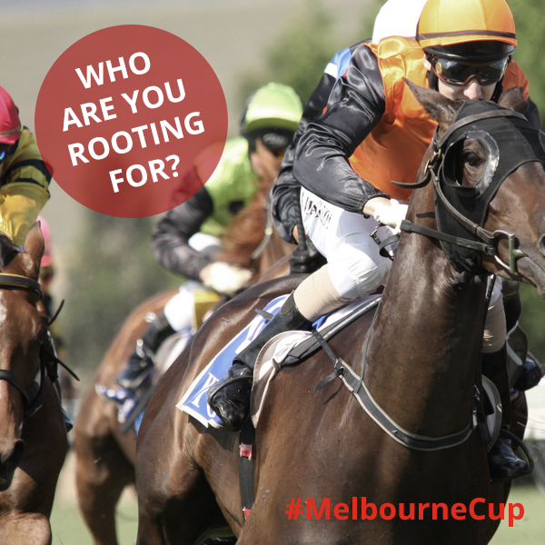 MMCabinetsWA's tweet photo. Who's watching the #MelbourneCup tomorrow? Tell us in the comments below how you predict it will turn out! https://t.co/iTCpKiELgS