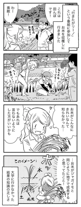 テレビで稲作の経験をしたときに恥ずかしかったこと。。。
https://t.co/nM9bwcDvZT 