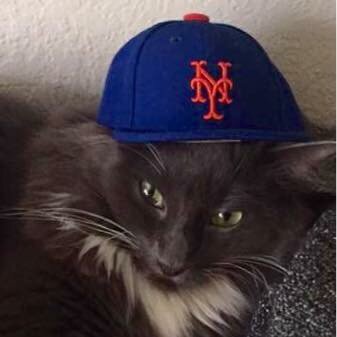 wellcoachjess's tweet image. #TheBig7th #LGM #metsmagic #harveyday #thedarkknight