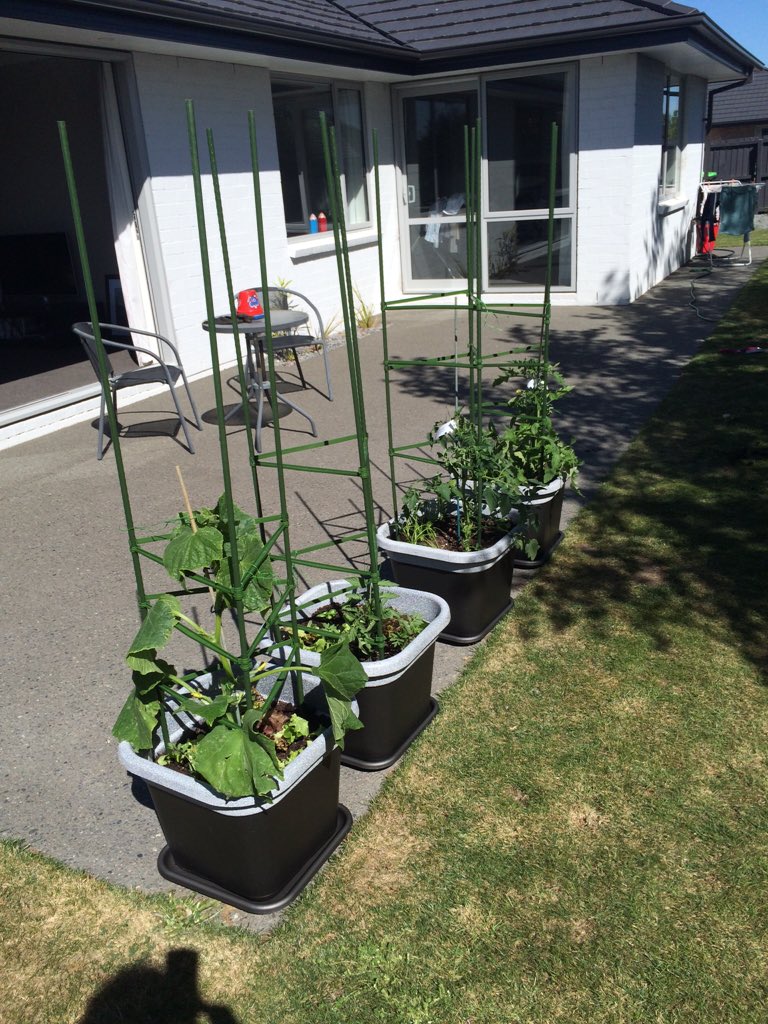 NettNz's tweet photo. DIY complete for this week! #granitespraypaint #duluxduramax #vegiesforsummer https://t.co/aSSqN3n4tW