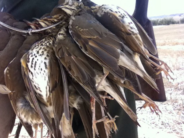 Una modalidad en auge y un manjar en nuestras mesas