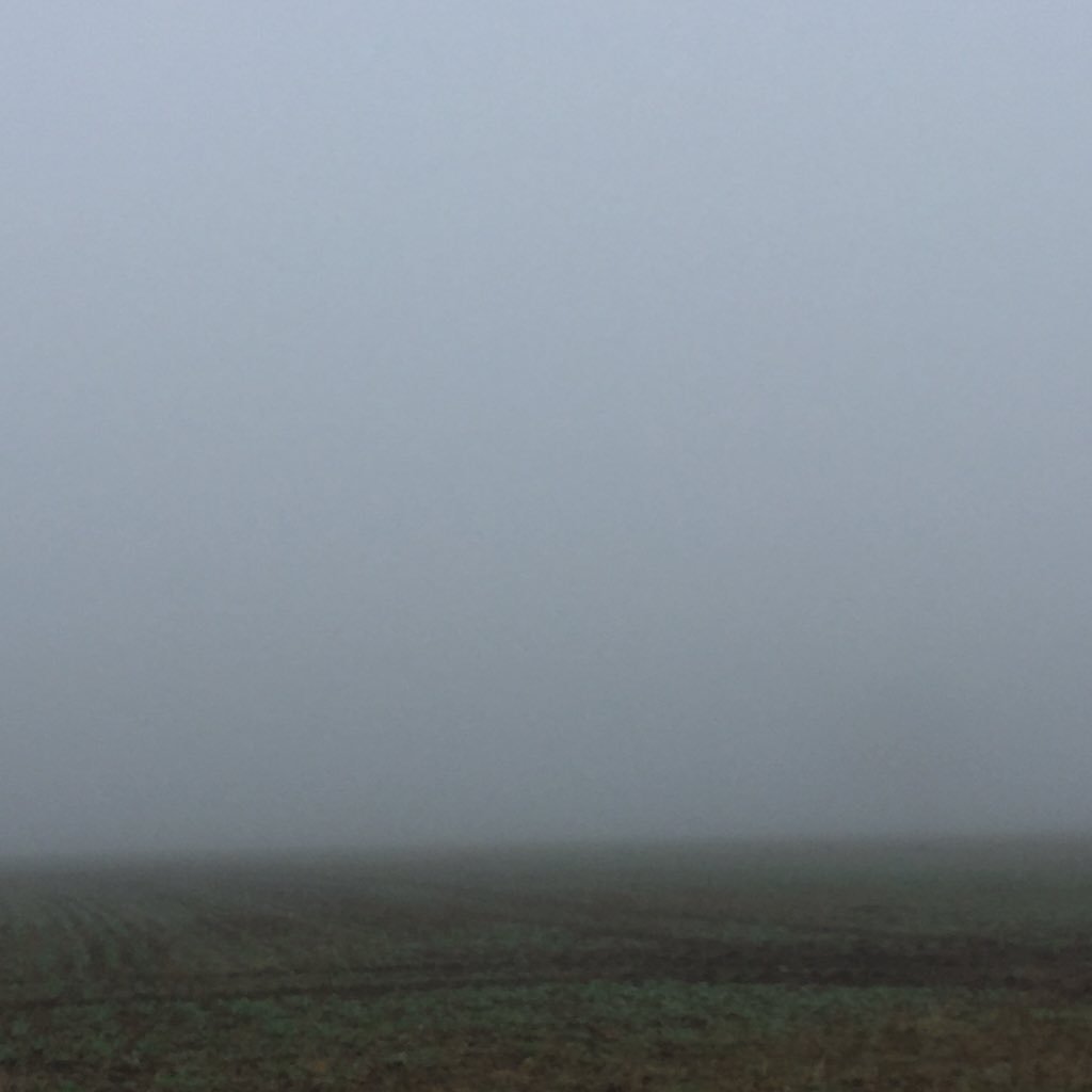 MJMoomin's tweet image. School run in #fog. Several drivers had no lights on, never mind #foglights, NO lights. #useyourcommonsense #morons