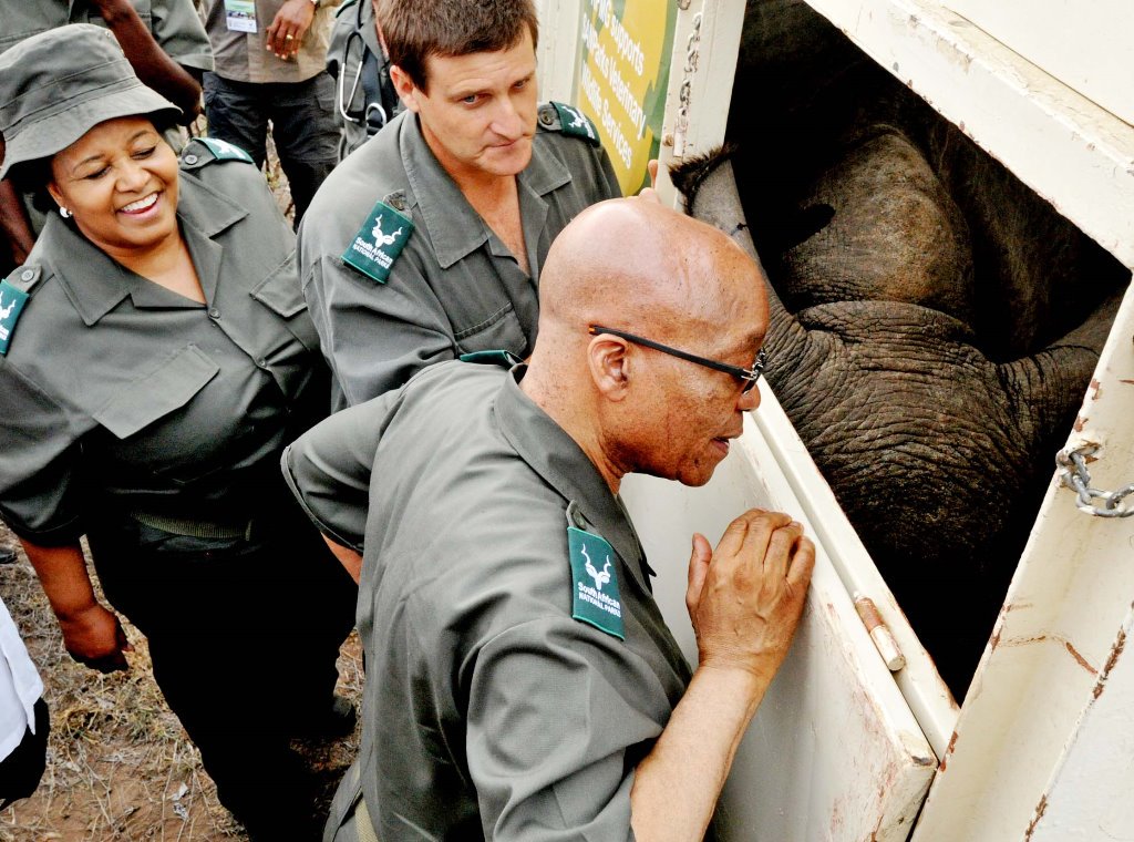 SANParks tweet media