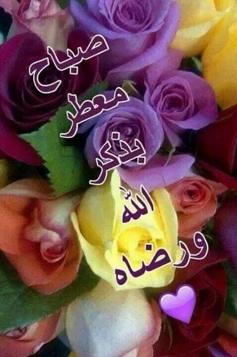 إلا بذكر الله تطمئن القلوب...توكل ع الله ليطمئن قلبك وروحك..🌻🍃🍁🌾🌼🌿🌹🍃🌺🌾