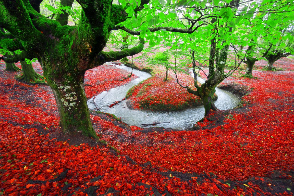 Otzarreta in Red and Green by Mikel Martinez de Osaba

500px.com/photo/10429648…